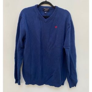 Handsome blue American Eagle wool sweater